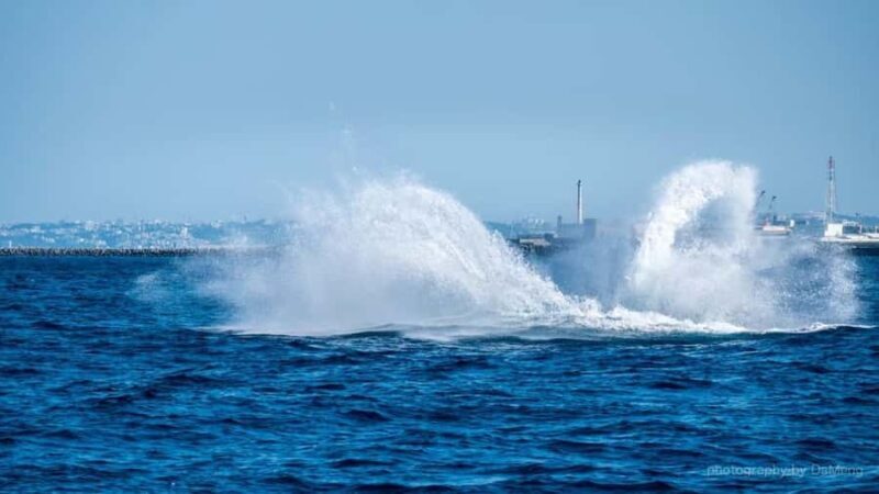 Chatan: Okinawa Whale Watching - Key Points