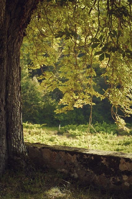 chateau-arton-guided-tour-and-armagnac-tasting