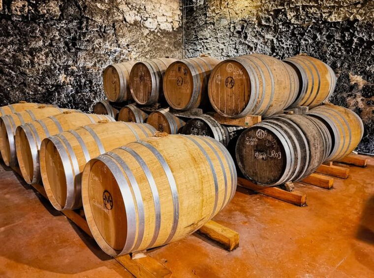chateau-arton-guided-tour-and-armagnac-tasting