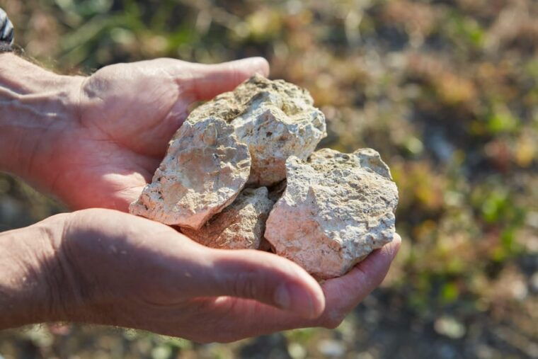 chateau-arton-guided-tour-and-armagnac-tasting