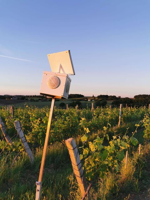 chateau-arton-the-secrets-of-haut-armagnac-experience