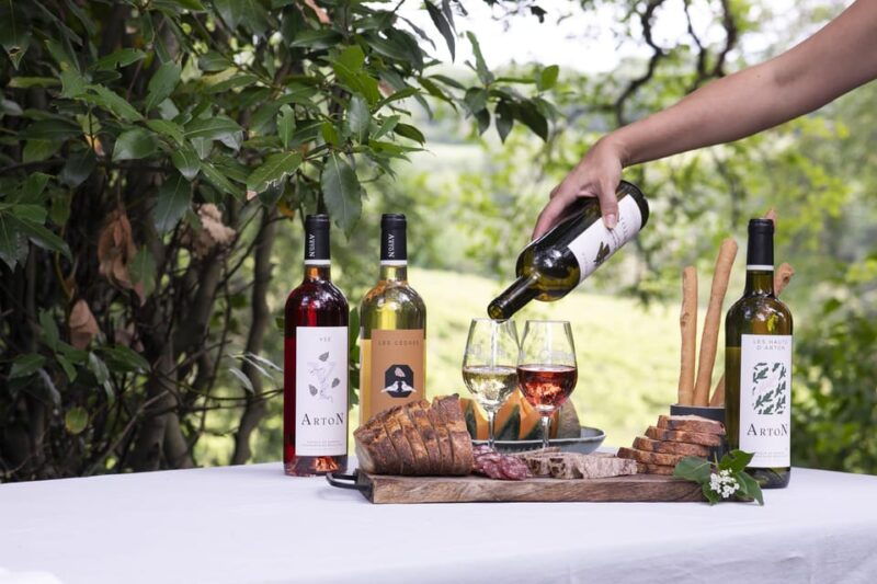 chateau-arton-vineyard-tour-and-tasting