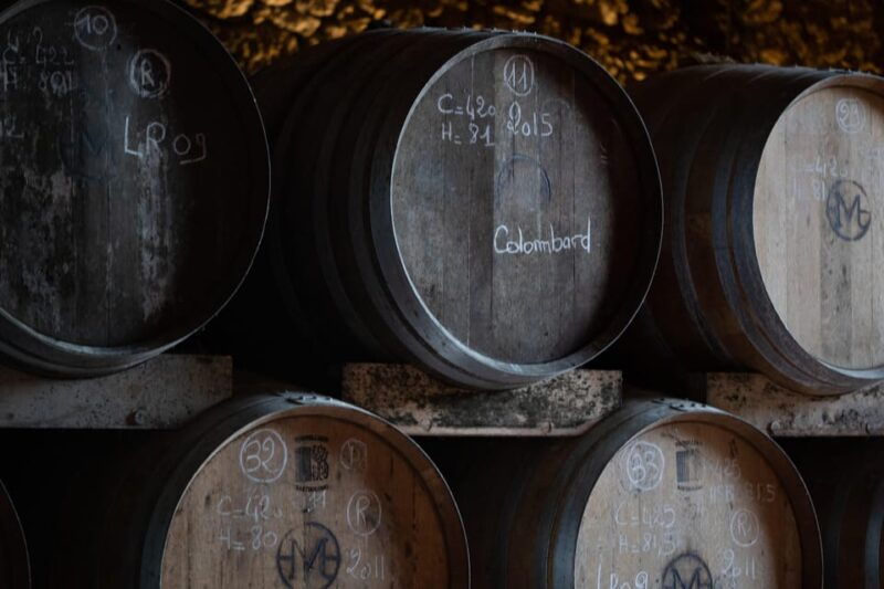 chateau-arton-vineyard-tour-and-tasting