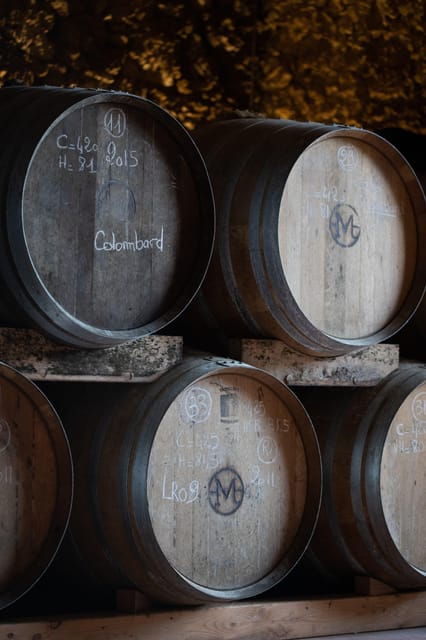 chateau-arton-vineyard-tour-and-tasting