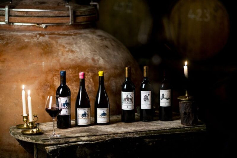 Château de Luc: Unique visit and wine tasting - Detailed Review of Château de Luc Tour and Wine Tasting