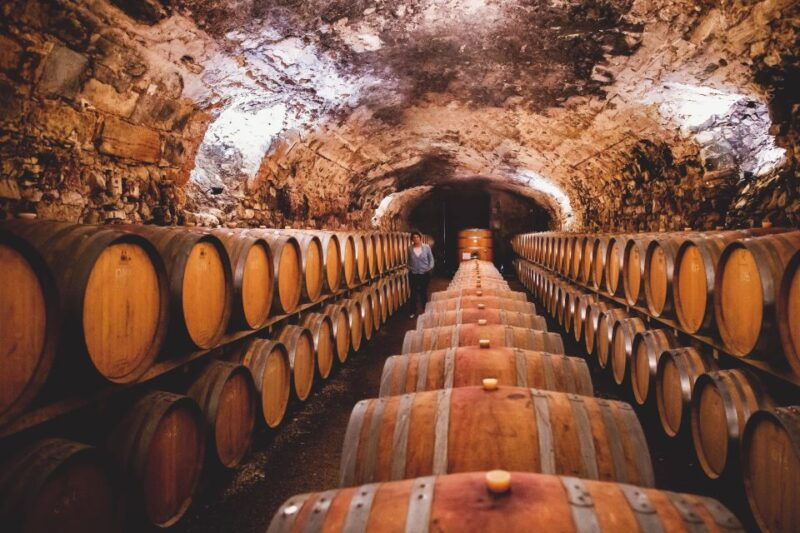 Château de Luc: Unique visit and wine tasting - The Sum Up