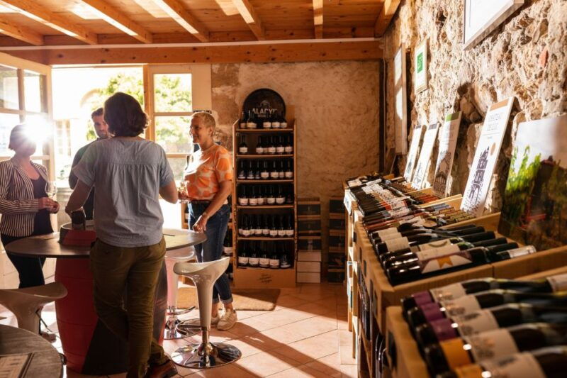 Château de Luc: Unique visit and wine tasting - FAQs