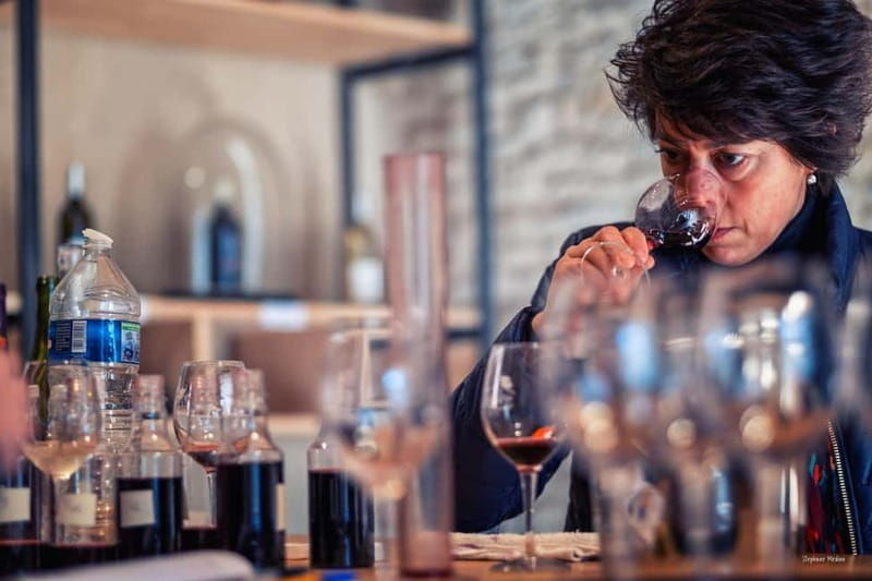 Château de Terride: tour of the winery & wine tasting - The Location and Its Charm  