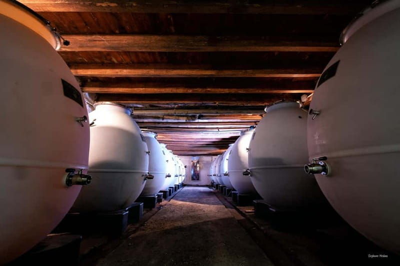 Château de Terride: tour of the winery & wine tasting - The Tasting: Sampling Six Vintages  