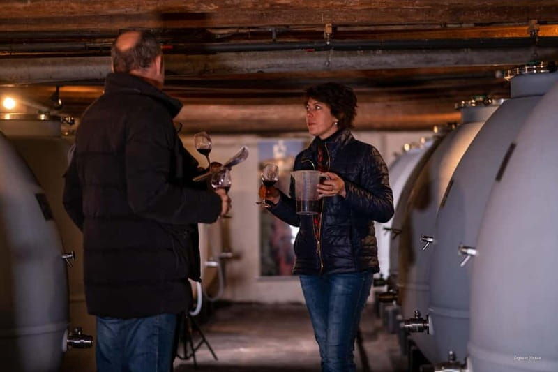 Château de Terride: tour of the winery & wine tasting - Additional Aspects and Practical Details  