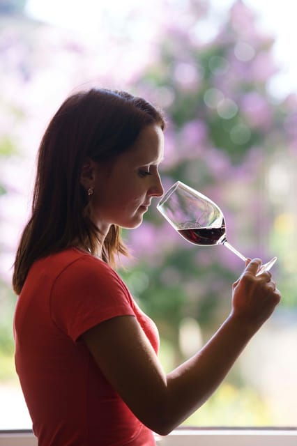 chateau-olivier-one-hour-vineyard-tour-with-wine-tasting