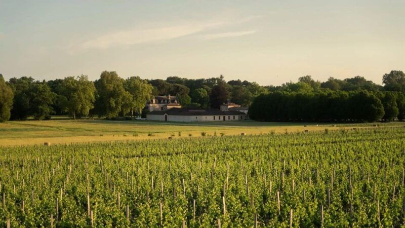 chateau-olivier-one-hour-vineyard-tour-with-wine-tasting