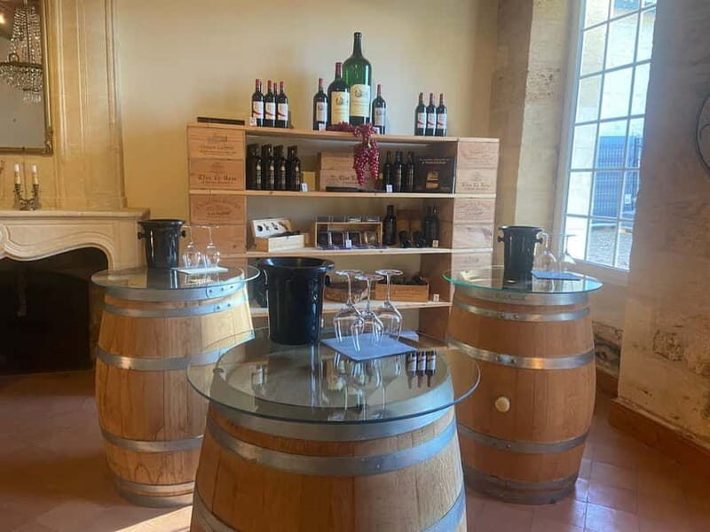 Château St-Emilion Grand Cru visit and Grand Cru and Pomerol tasting - Exploring the Saint-Emilion and Pomerol Tour: What to Expect