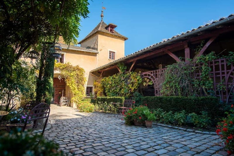 Chateau Thivin Welcome visit Wine tour in Beaujolais (Odenas) - Authentic Insights from Reviews