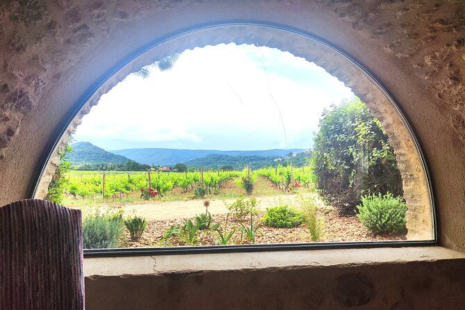 chateauneuf-du-pape-and-luberon-vineyard-tour-from-avignon