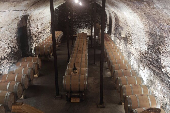 chateauneuf-du-pape-and-luberon-vineyard-tour-from-avignon