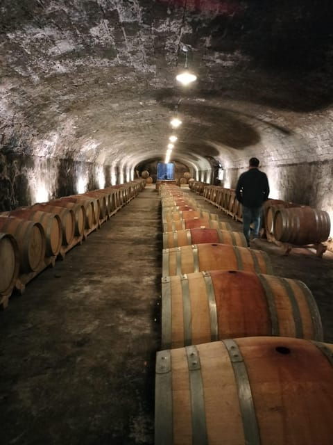 chateauneuf-du-pape-exclusive-private-tour-for-connoisseurs
