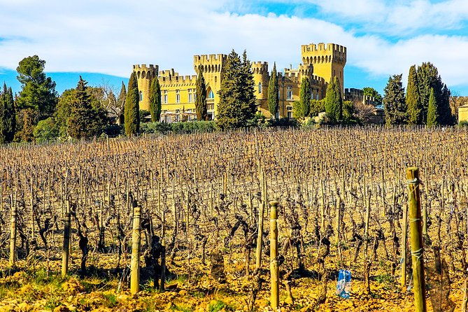chateauneuf-du-pape-intensive-vineyard-fine-wine-experience-2