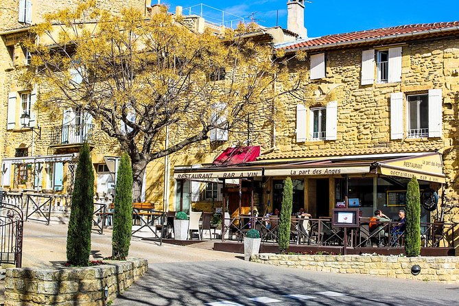 chateauneuf-du-pape-intensive-vineyard-fine-wine-experience-2