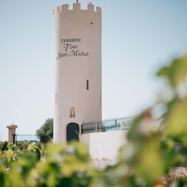 Châteauneuf-du-Pape: tour/tasting in the heart of Domaine Tour St Michel - Who Will Love This Tour?