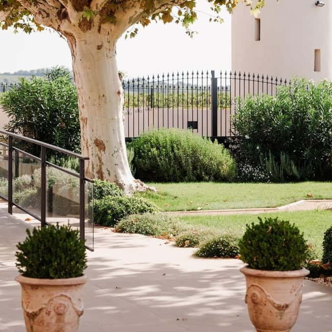 Châteauneuf-du-Pape: tour/tasting in the heart of Domaine Tour St Michel - The Sum Up