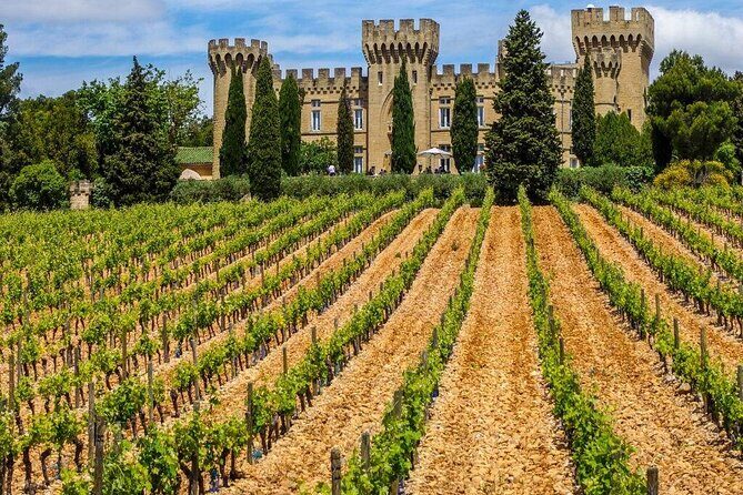 Châteauneuf du Pape Wine Private Tasting Tour From Marseille - Why this Tour Is a Gem for Wine Enthusiasts  