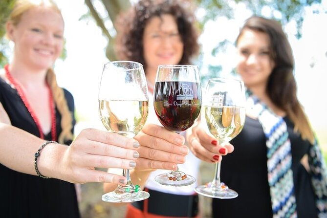 chauffeured-adventure-to-local-san-diego-vineyards