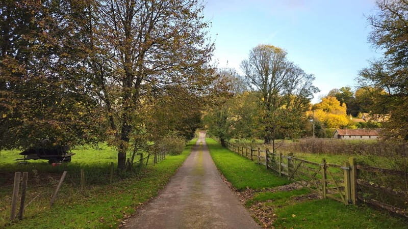 Chawton: village tour to discover its ties to Jane Austen - Practical Details and Tips