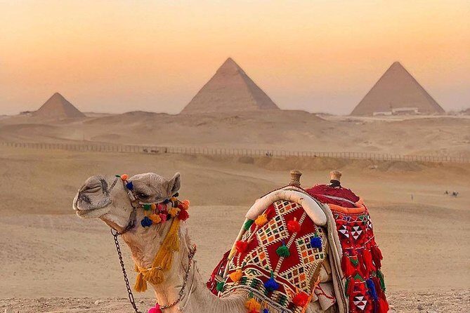 Cheap Private tour to Giza pyramids and the Sphinx - Who Should Consider This Tour?