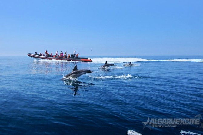 cheapest-family-friendly-boat-trip-from-vilamoura-algarve-2