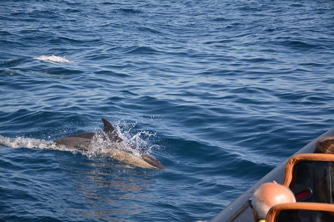 cheapest-family-friendly-boat-trip-from-vilamoura-algarve-2