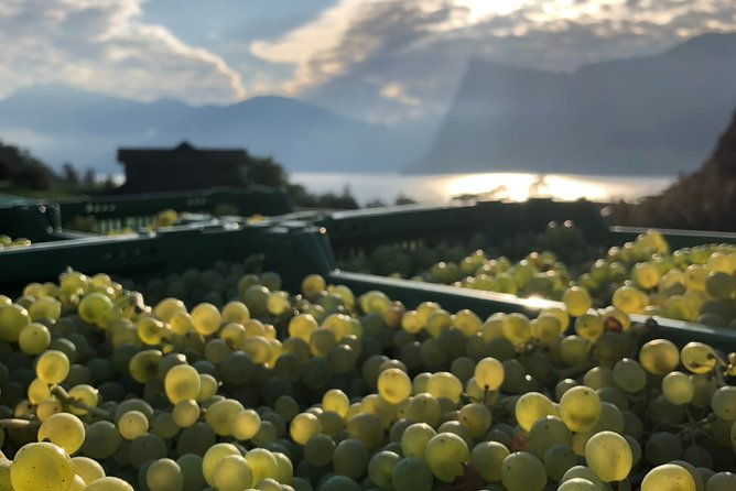cheese-chocolate-and-wine-in-the-bern-region-from-luzern