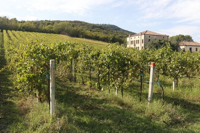 cheese-dairy-farm-winery-liqueurs-and-spirits-ham-and-sausage-factory