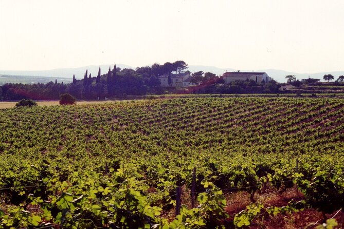 cheese-factory-workshop-with-wine-tasting-in-requena-valencia