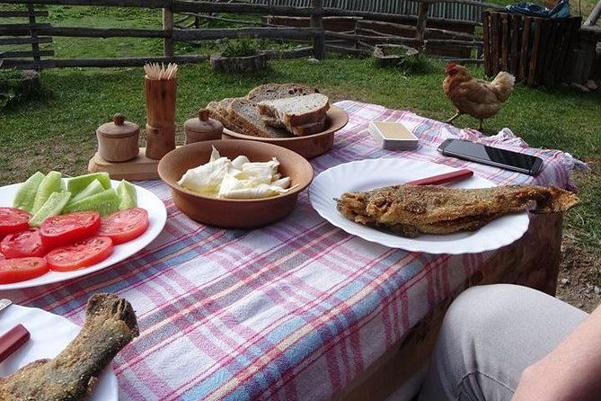 cheese-farm-tour-in-the-katun