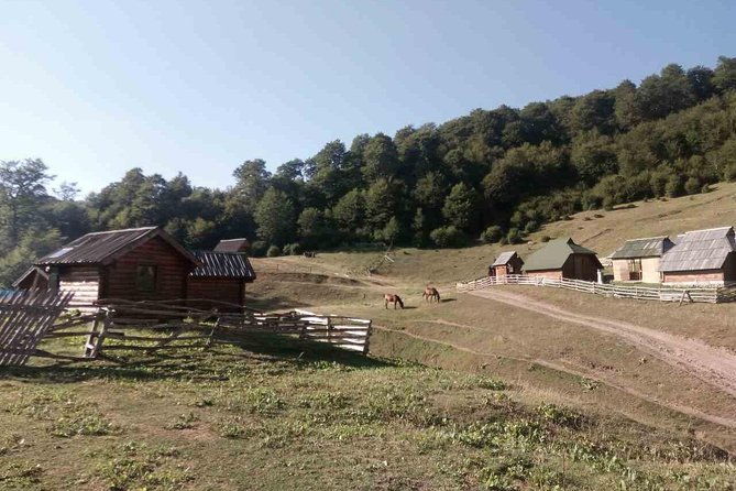 cheese-farm-tour-in-the-katun