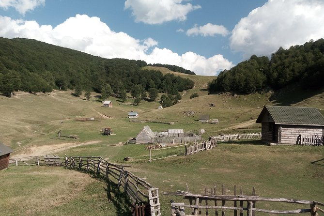 cheese-farm-tour-in-the-katun