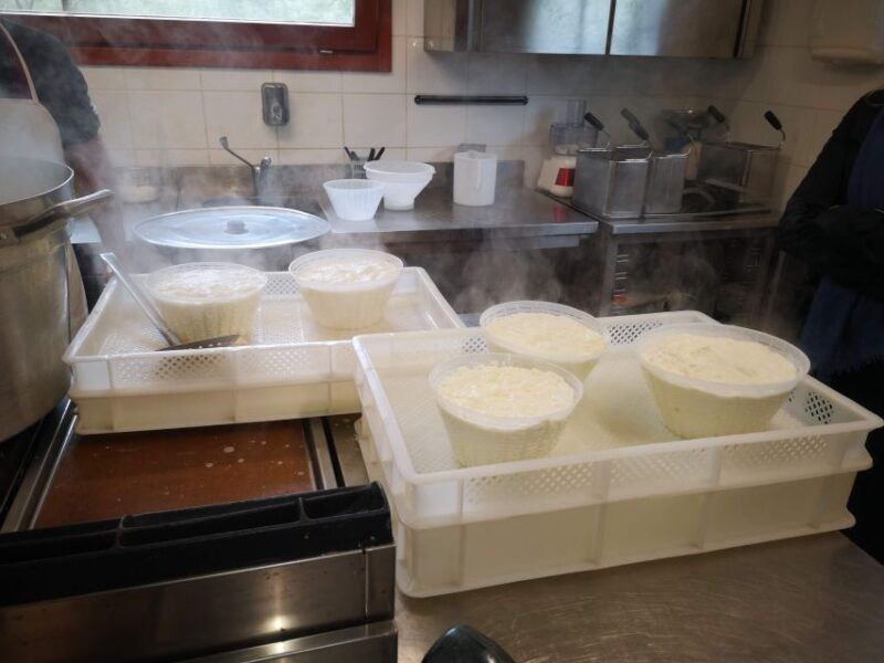 cheese-making-and-tasting-tour-from-cagliari-with-lunch