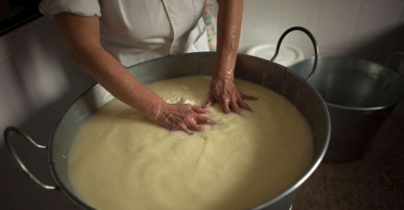 cheese-making-and-tasting-tour-from-cagliari-with-lunch