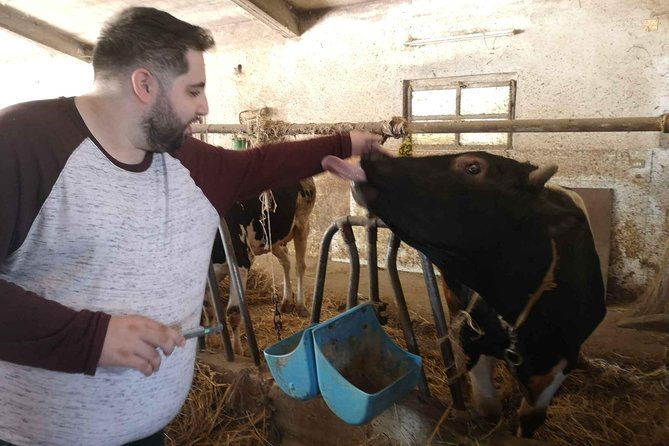 cheese-ricotta-making-teramo-abruzzo-italy
