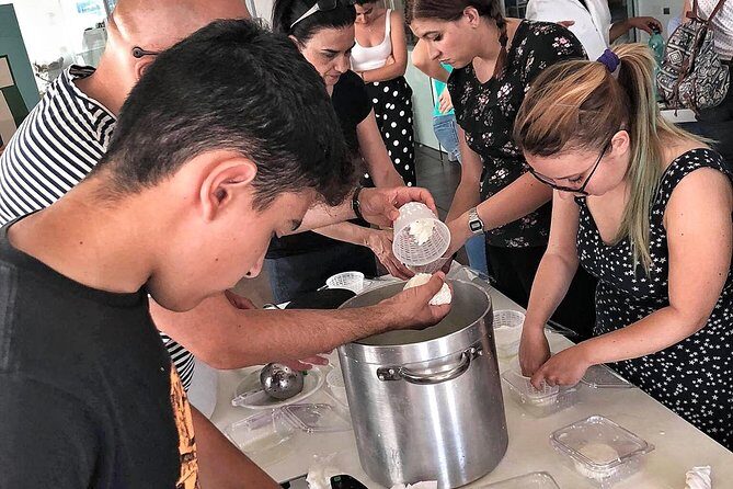 Cheesemaker for a day & visit to the dairy - A Close-Up Look at the Sardinian Dairy Experience