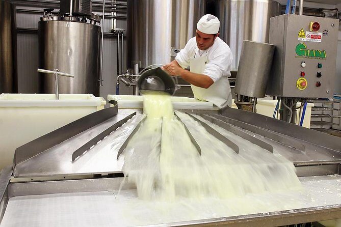 Cheesemaker for a day & visit to the dairy - Authenticity and Unique Touches