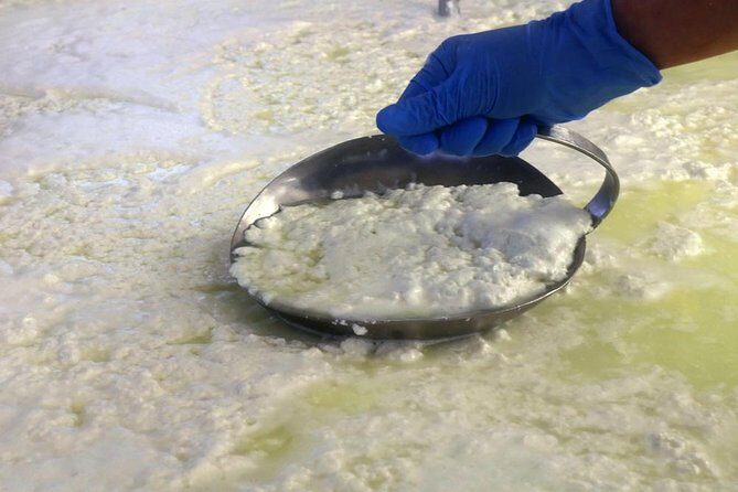 Cheesemaker for a day & visit to the dairy - Frequently Asked Questions