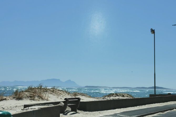 Cheetah Outreach Tour Somerset West, Gordon's Bay and Strand Beaches - Final Thoughts