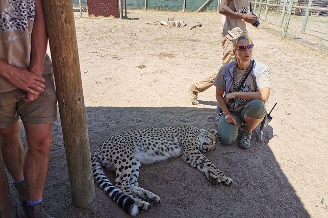 Cheetah Outreach Tour Somerset West, Gordon's Bay and Strand Beaches - Frequently Asked Questions