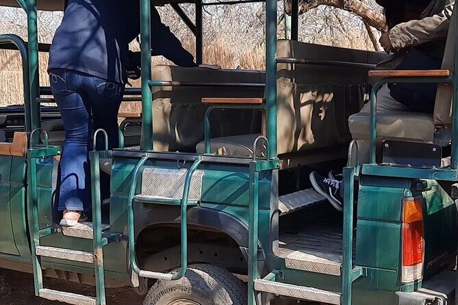 Cheetah + Wild dog Sanctuary, Tribal Dance Lunch + Lion Park - A Closer Look at the Itinerary and What You’ll Experience