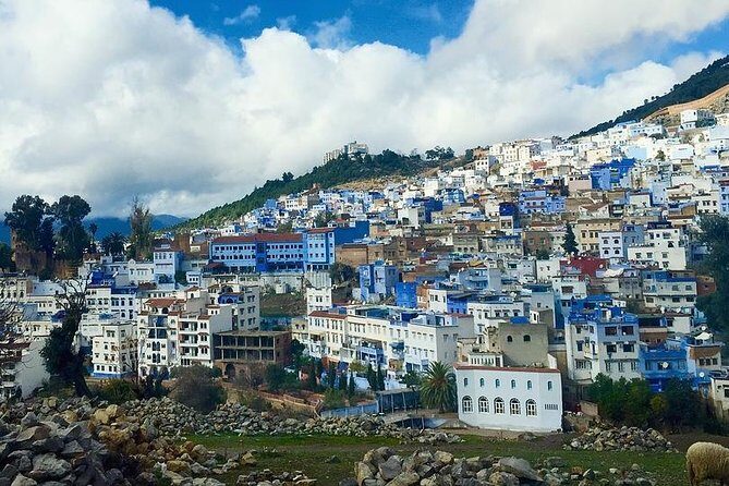 Chefchaouen Day Trip from Fes - Key Points
