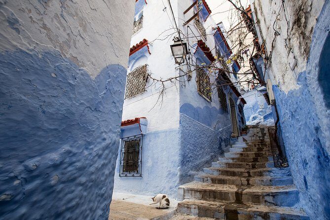 Chefchaouen day trip from Fes - FAQs