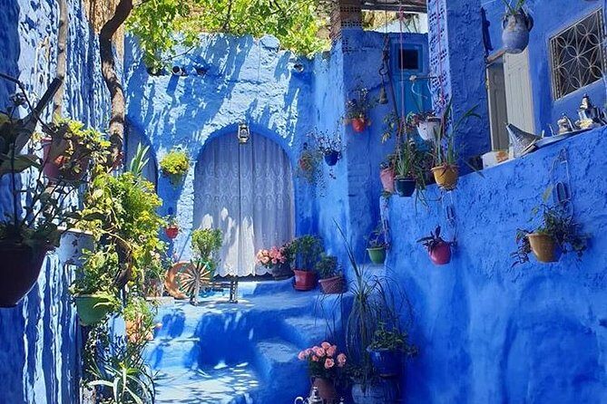 Chefchaouen day trip from Fez - The Sum Up