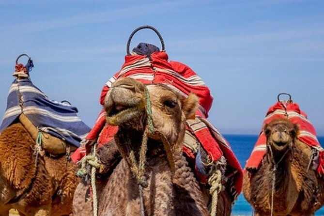 chefchaouen-day-trip-from-seville